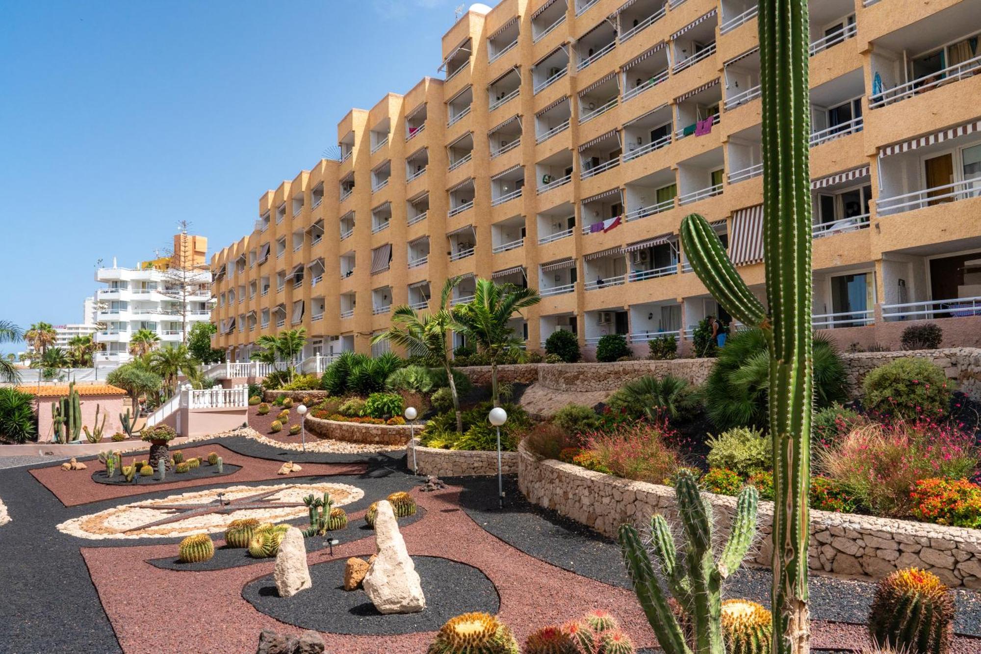 פלאייה דה לאס אמריקס Apartamentos Borinquen מראה חיצוני תמונה