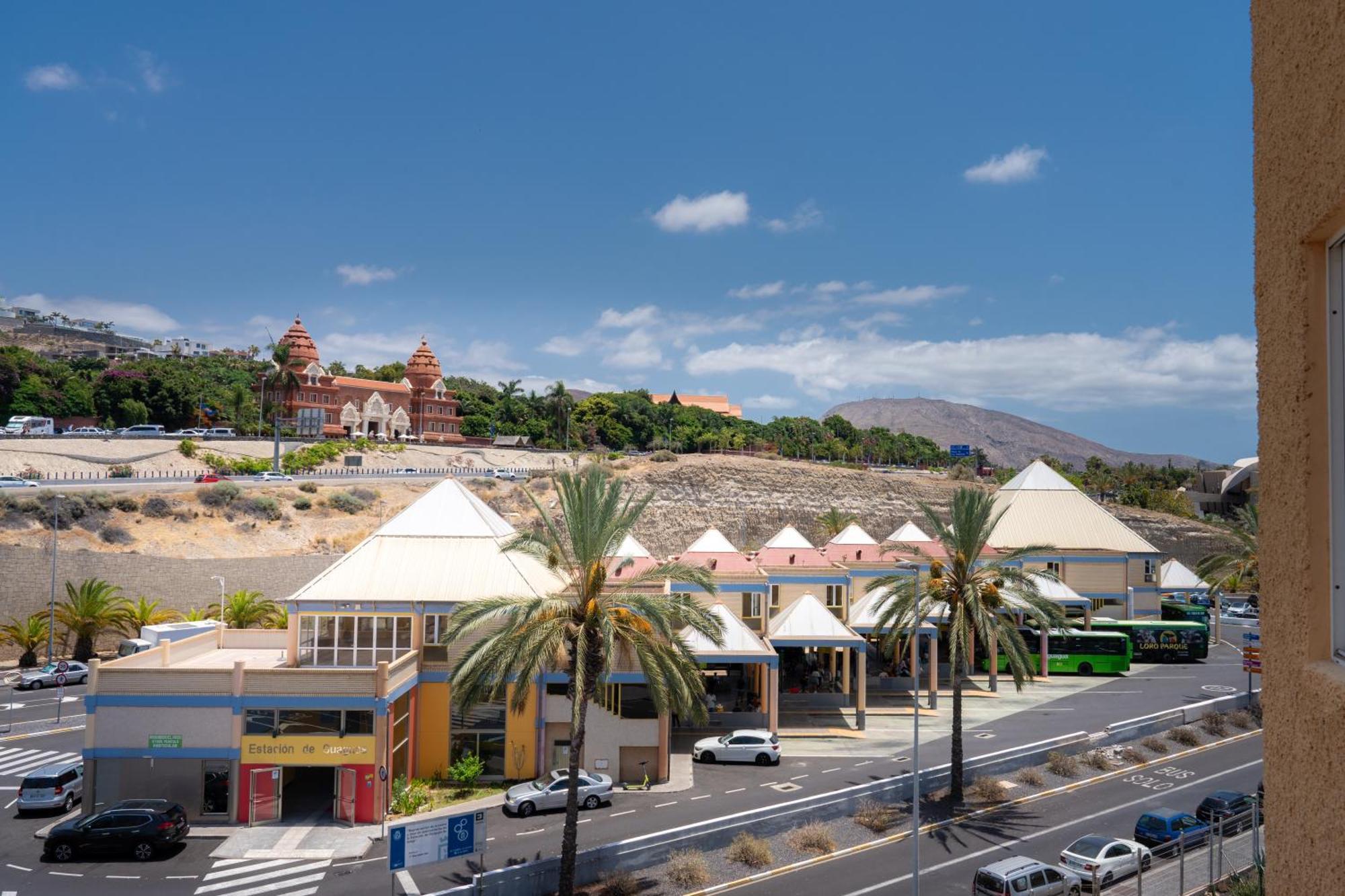 פלאייה דה לאס אמריקס Apartamentos Borinquen מראה חיצוני תמונה
