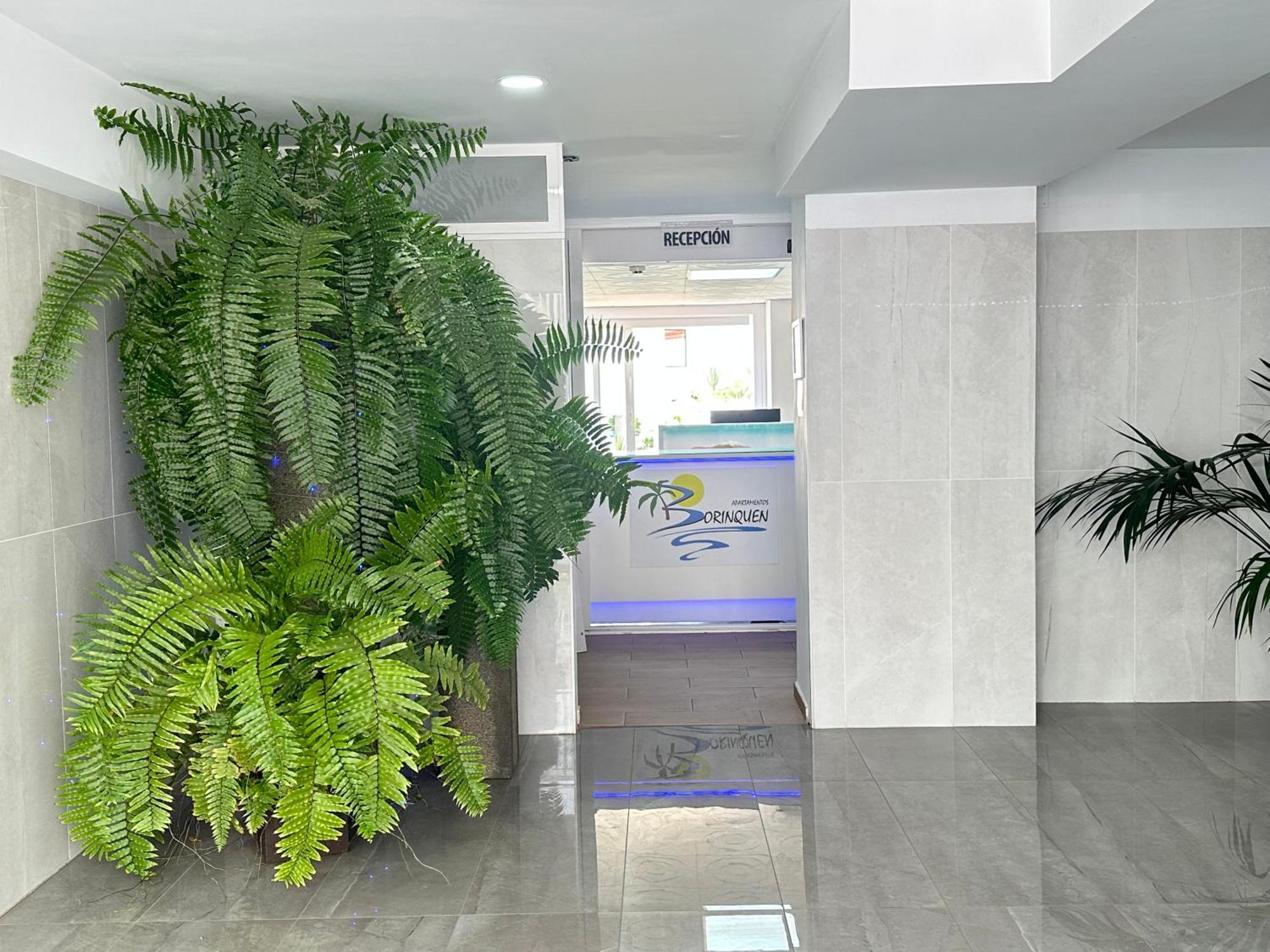 פלאייה דה לאס אמריקס Apartamentos Borinquen מראה חיצוני תמונה